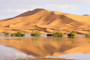 Пески Марокко