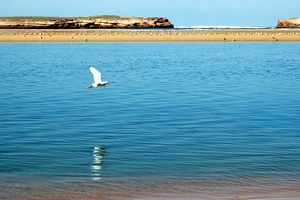 Пляж Уалидия в Марокко